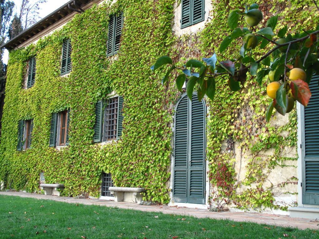 Penzion Fattoria Casa Sola Barberino di Val dʼElsa Exteriér fotografie